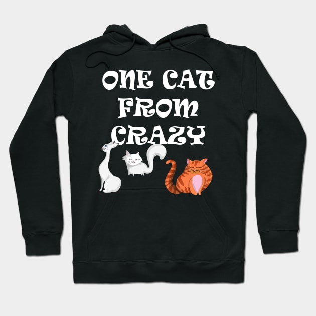 One cat from Crazy Hoodie by madeinchorley